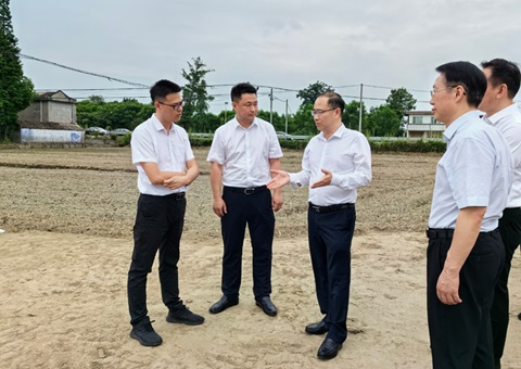 胡云赴眉山调研耕地；；；；；；だ煤透弑曜寂┨锝ㄉ韫ぷ