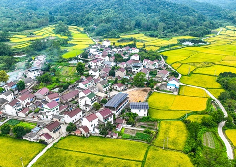 安徽省自然资源厅：130个乡镇耕地；；；；；；；こ杉ㄍ怀 获补偿激励1.3亿元