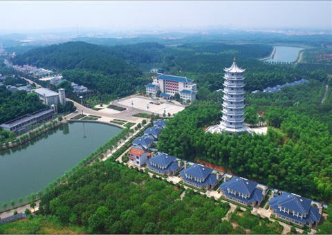 湖北：用好“一张图” ，，，，，，智治有支撑